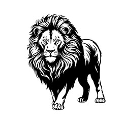 lion black and white