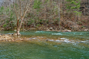 Piney river high water levels in Tennessee