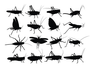 Set of silhouettes of a locust.
- 767206801