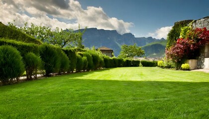Landscape in summer with a green manicured lawn