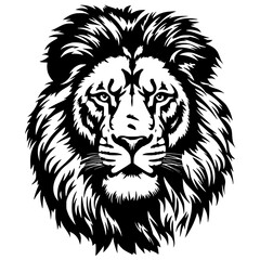 lion illustration