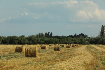 Beautiful view of agricultural field with hay bales