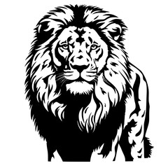 lion illustration