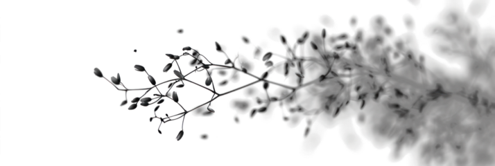 Blurry Twigs In Motion On White