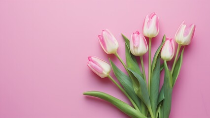 StockImage Flat lay of pink tulips, perfect for Mothers Day