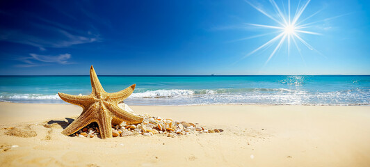 Fototapeta na wymiar étoile de mer et coquillages posés sur une plage de sable blanc - espace vide