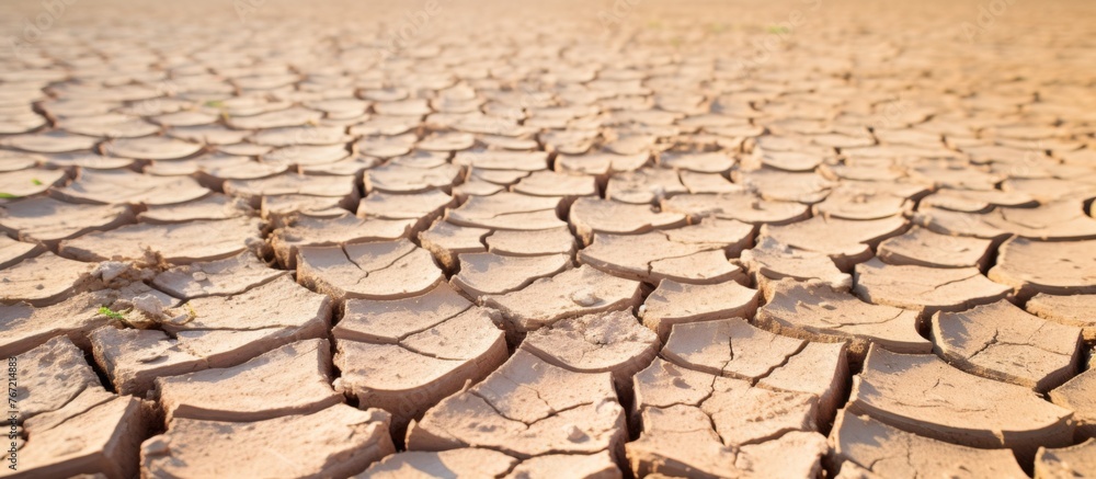 Poster a close up of cracked soil in the desert resembles a patterned flooring design, creating a striking 