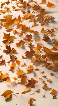 fallen leaves blown by the wind
