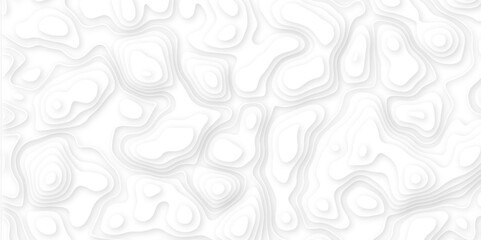 Abstract white paper cut background with line. 3d topography relief. Vector topographic illustration. realistic papercut decoration textured with wavy layer and shadow. seamless pattern wave design.