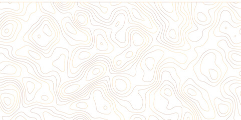 Topographic map and landscape terrain texture grid. Abstract lines background. Contour maps. Vector illustration. golden and white topographic contours lines of mountains.