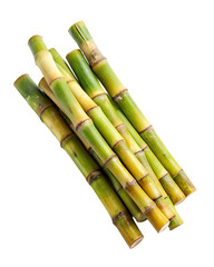 Fototapeta premium sugar cane stalk transparent background