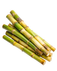 Fototapeta premium sugar cane stalk transparent background