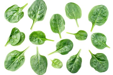 Fresh, Raw Spinach Leaves Isolated on White Background with Clipping Path. Top View of Edible Green Herb - Spinacia oleracea - obrazy, fototapety, plakaty