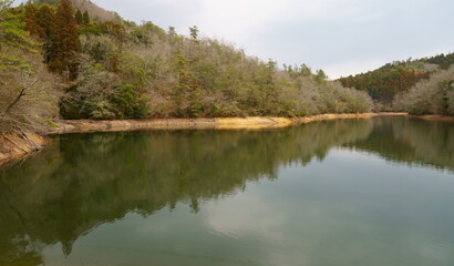 曇りの日の池の写真