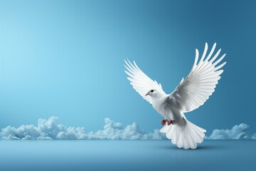 Obraz premium white dove flying free on light and soft blue and white background for freedom and relax design