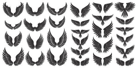 Bird wings black silhouettes. Different shapes plumage wing drawings isolated, winged graphics on white - 767233864