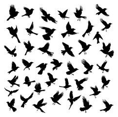 Flying birds silhouettes. Different bird shapes wildlife black sketch, birding flies elements shadows isolated vector illustration