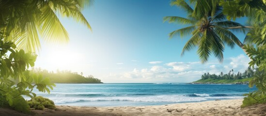 A tropical shore with palm trees and the sea