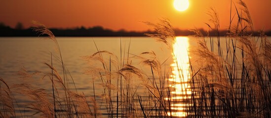 A body of water reflecting sunlight