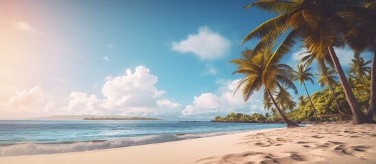 Fototapeta na wymiar A serene tropical beach featuring palm trees against a backdrop of the ocean, with clear blue skies, fluffy clouds, and a peaceful natural landscape