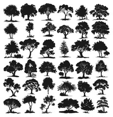 Tree silhouettes. Trees foliage black stencils isolated on white, realistic deciduous plants drawing elements