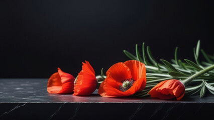 Red poppies and rosemary sprigs on a black granite monument. Remembrance Day greeting card. Lest we forget. Memorial on Anzac Day/ Banner