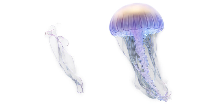 An ethereal jellyfish Transparent Background Images 