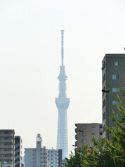 Fototapeta na wymiar 日本の電波塔