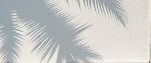 Shadow of palm leaves on white sand beach. Beautiful abstract background concept banner for summer - obrazy, fototapety, plakaty