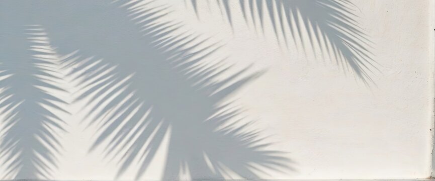 Shadow of palm leaves on white sand beach. Beautiful abstract background concept banner for summer