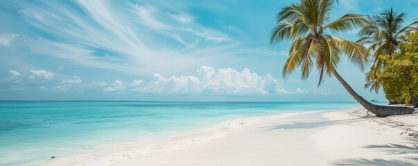 Fototapeta na wymiar A beach on an exotic island, the blue sky, and white sands create a picturesque scene. 