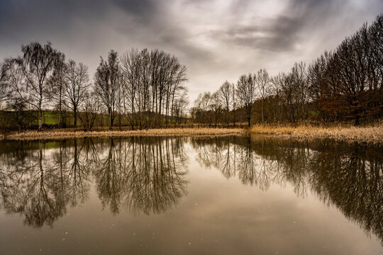Fischteich bei Wilthen in der Oberlausitz 1