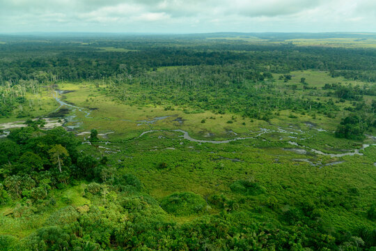 Lango Bai. Odzala-Kokoua National Park. Cuvette-Ouest Region. Republic of the Congo