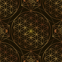 Pattern of Sacred Geometry Symbol. Vector illustration. Mystic esoteric Flower of Life. Golden Seed of life. Mandala lotus flower on black background - 767256044