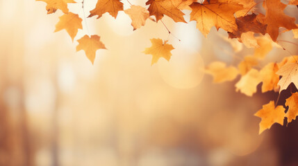 autumn background with maple leaves and bokeh for copy space