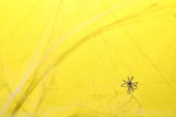 Cobweb and spider on yellow background, top view