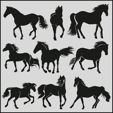 horse silhouettes collection,