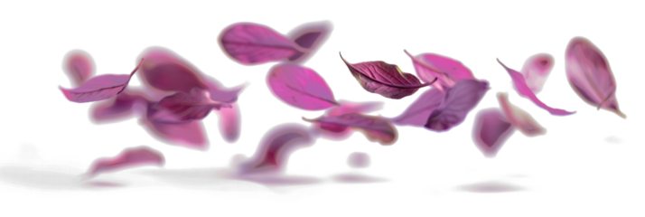 Whirling Leaves in Flight