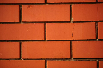 A red brick wall background. Close up