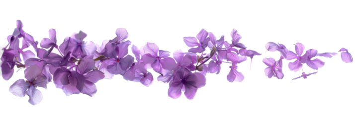 Whirling Purple Flowers with Blurry Motion