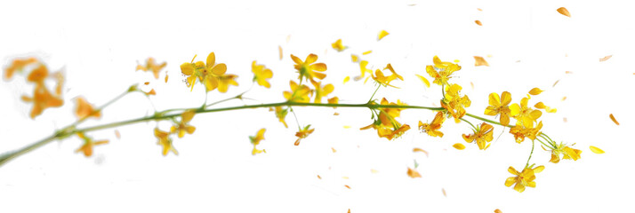 Yellow Flowers in Dynamic Motion - obrazy, fototapety, plakaty