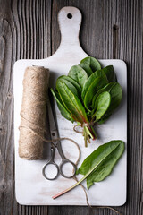 Top view on fresh organic sorrel leaves bunch with scissors and rope. Food photography