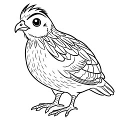 Simple Quail Outline Coloring Page for Relaxation
Quaint Quail Sketch for Creative Coloring Activities
Whimsical Quail Drawing for Artistic Expression
Charming Quail Printable for Relaxing Coloring Se