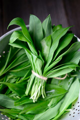 Fresh leaves of bear's wild garlic bunch in metal colander on wooden table close up. Food photography