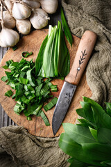 Cutting fresh organic bear's wild garlic leaves on wooden board with knife close up. Food photography
