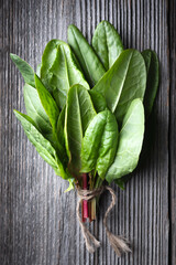 Bunch of fresh organic sorrel leaves on wooden table close up. Food photography