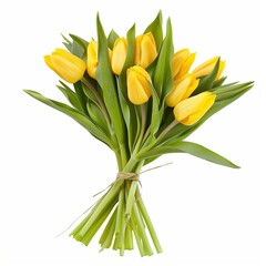 A bouquet of tulips on white isolated background. Flowers for valentines day or for women's day. Florist's or flower shop concept. Beautiful flowers. Yellow tulips.