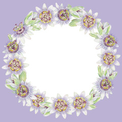 Square lilac background with round watercolor wreath of Passion flower. Purple and green hand painted Passiflora floral frame with flowers and buds.