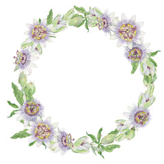 Passion flower round watercolor wreath isolated illustration. Purple and green hand painted Passiflora floral frame with flowers and buds.