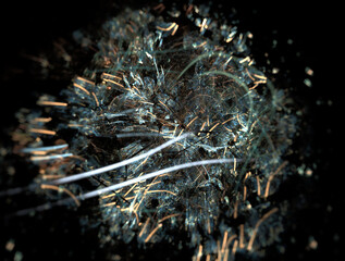 Imaginatory fractal abstract background Image